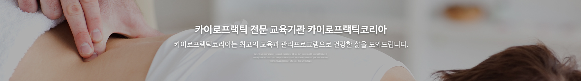카이로프랙틱코리아_공통상단