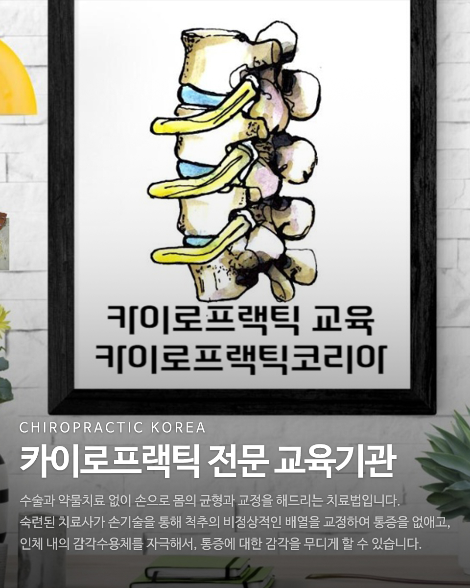 20240521131631_gAnCwtF1.jpg_carousel_카이로프랙틱 교육 전문학원 카이로프랙틱코리아_카이로프랙틱교육전문학원,카이로프랙틱코리아