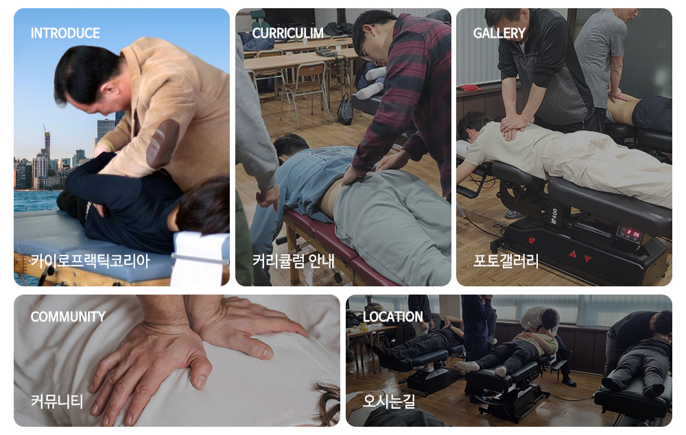 카이로프랙틱코리아_메인중간_