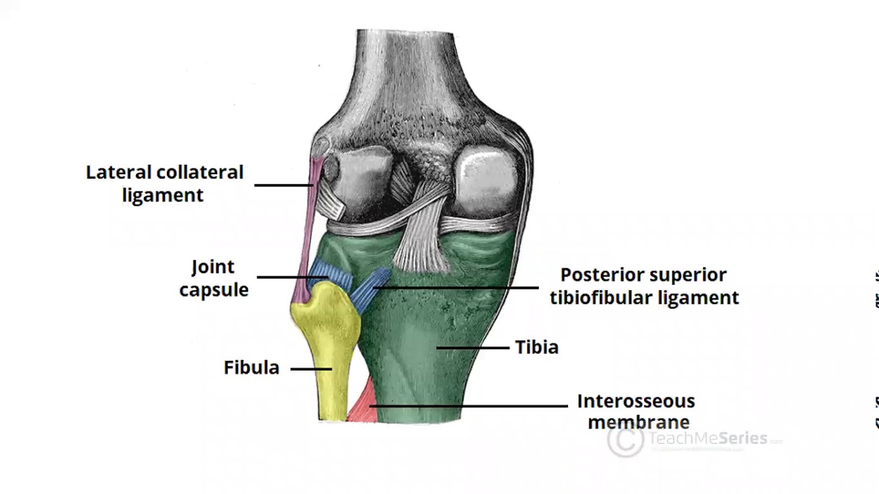 /user/c/chiropractickorea/editor/2108/87dc8ec0eac82a088fe7462c3d55e2e6_1628911822_8735.jpg 이미지크게보기