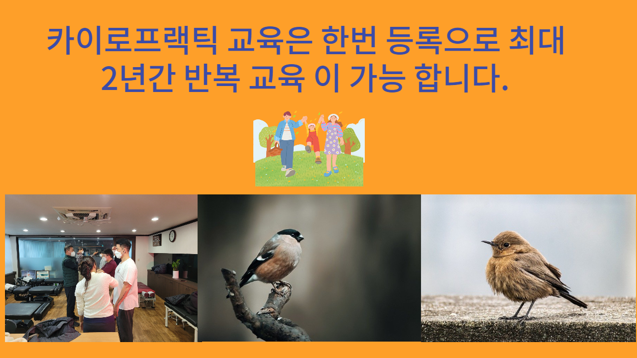 /user/c/chiropractickorea/editor/2202/a9bc82016dc73d5448f57eb4bb7dfa0f_1645671592_2852.jpg 이미지크게보기
