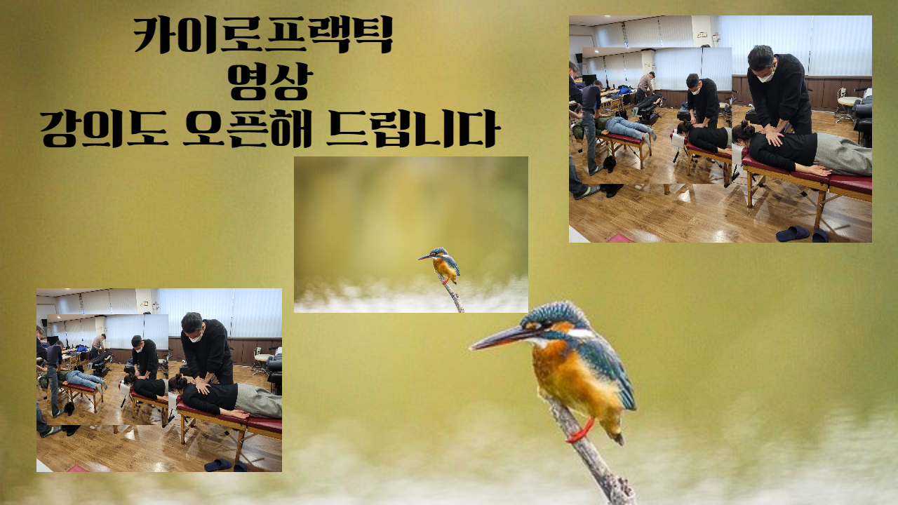/user/c/chiropractickorea/editor/2202/a9bc82016dc73d5448f57eb4bb7dfa0f_1645671625_5466.jpg 이미지크게보기