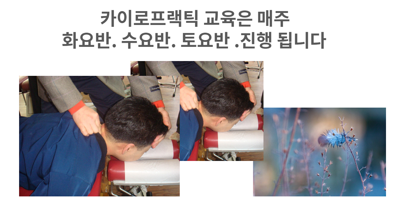 /user/c/chiropractickorea/editor/2202/a9bc82016dc73d5448f57eb4bb7dfa0f_1645671701_3534.jpg 이미지크게보기
