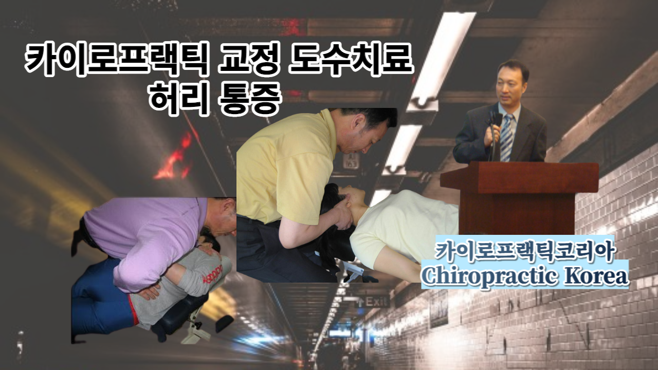 /user/c/chiropractickorea/editor/2206/031ad1470b2a4f5507a5979f1b4dacdd_1656550131_6624.png 이미지크게보기