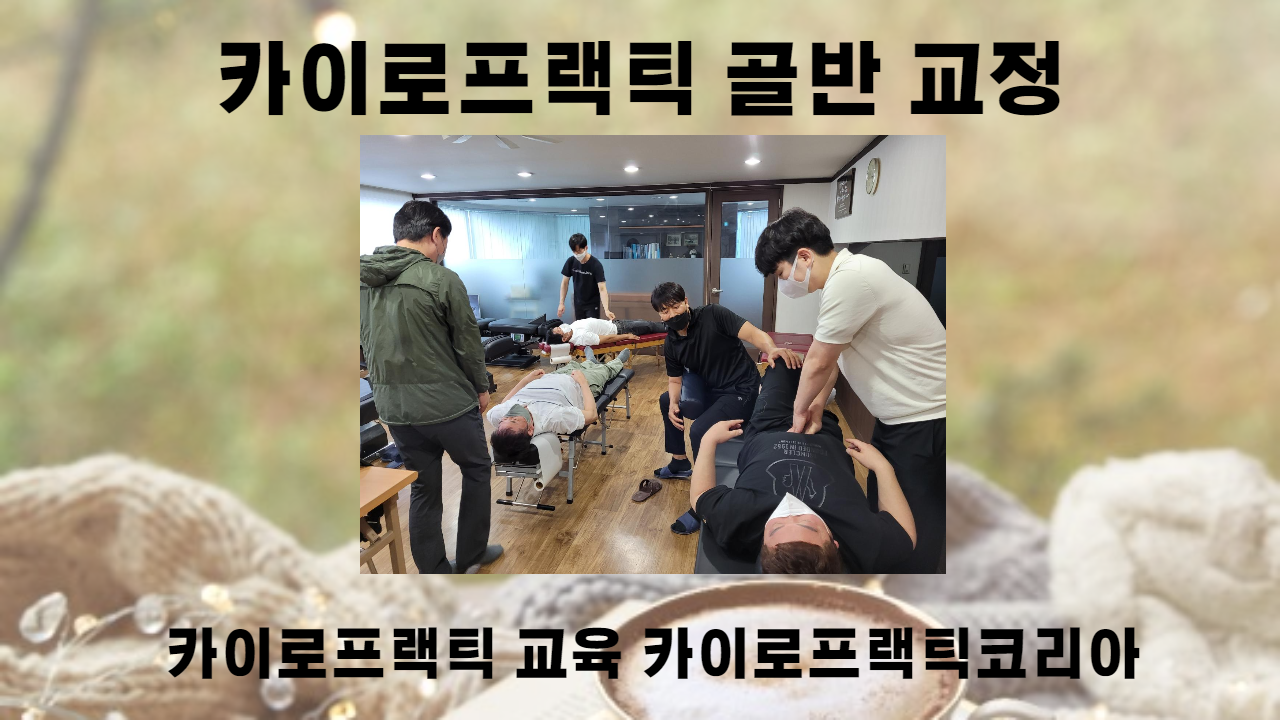 /user/c/chiropractickorea/editor/2206/ce1329f73298b7899b6c3d7cbc094e16_1655341023_2152.png 이미지크게보기