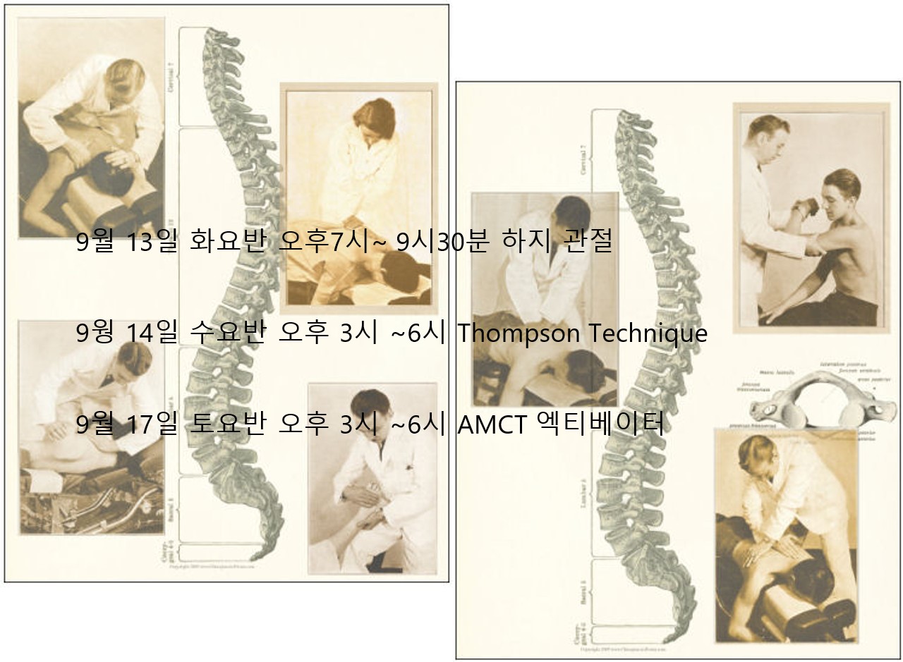 /user/c/chiropractickorea/editor/2209/c1ac2be874d848fd0500fb717e50d910_1662856256_0218.jpg 이미지크게보기
