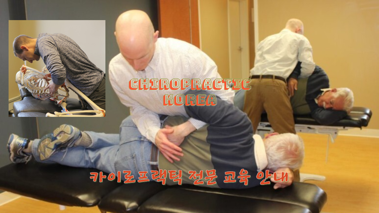 /user/c/chiropractickorea/editor/2307/545fb8aa40e6bfb07db31b540f7c0e23_1690248025_0252.png 이미지크게보기