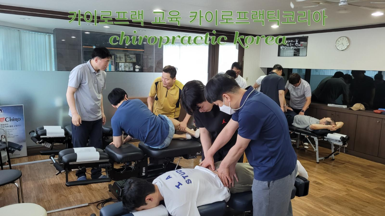 /user/c/chiropractickorea/editor/2307/545fb8aa40e6bfb07db31b540f7c0e23_1690248049_7141.png 이미지크게보기