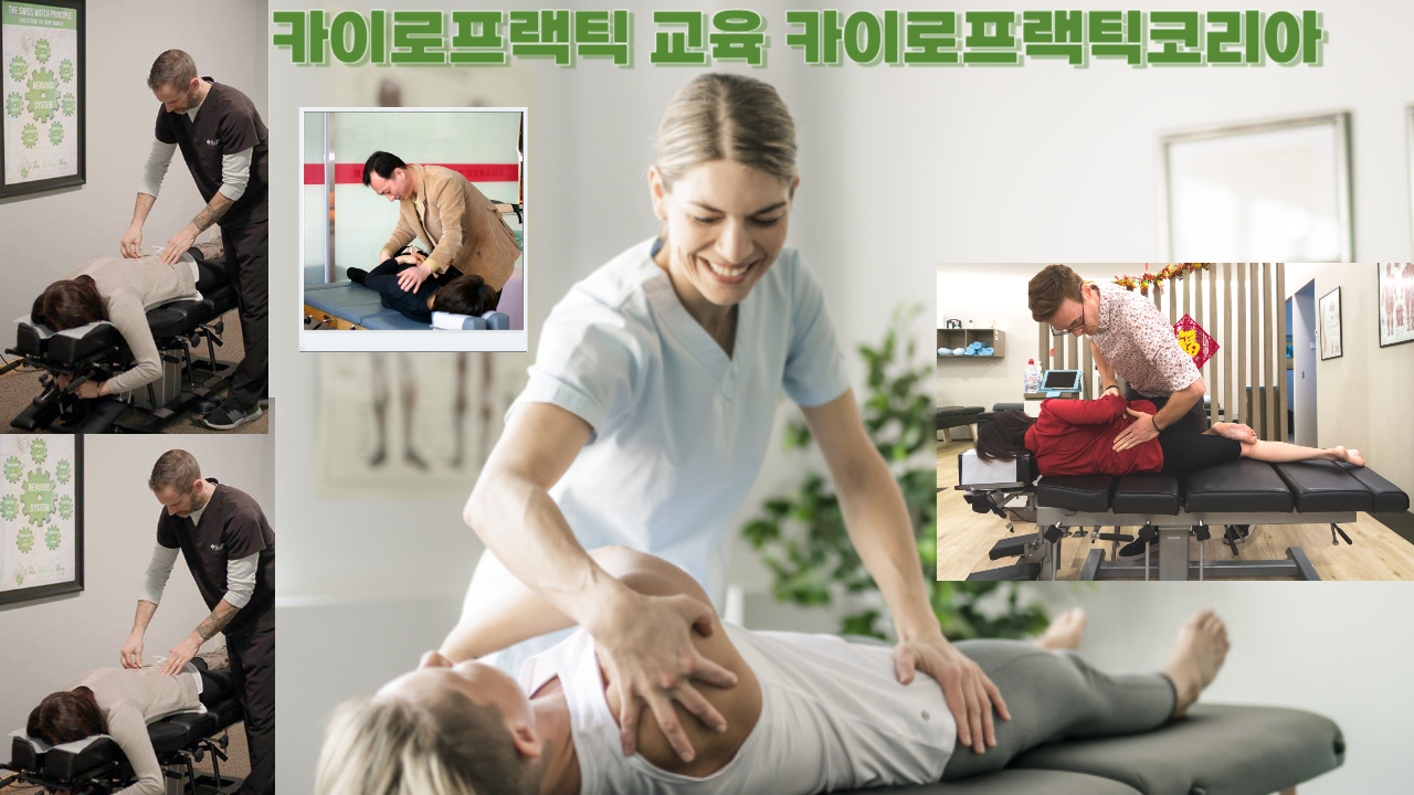 /user/c/chiropractickorea/editor/2307/545fb8aa40e6bfb07db31b540f7c0e23_1690248067_2044.png 이미지크게보기