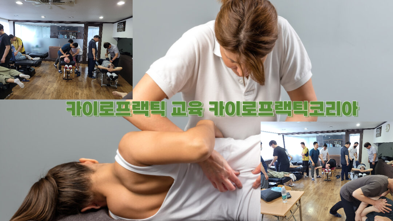 /user/c/chiropractickorea/editor/2307/545fb8aa40e6bfb07db31b540f7c0e23_1690248084_7411.png 이미지크게보기