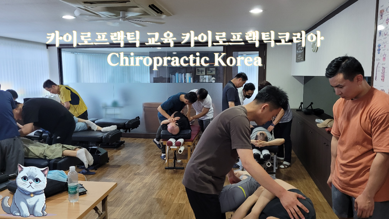 /user/c/chiropractickorea/editor/2307/545fb8aa40e6bfb07db31b540f7c0e23_1690248097_5652.png 이미지크게보기