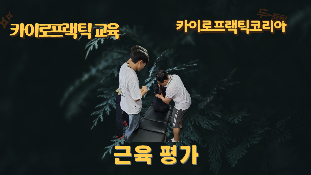 /user/c/chiropractickorea/editor/2311/cf045466e9e63e3bc9507c0b3d6392bf_1700813901_1147.png 이미지크게보기