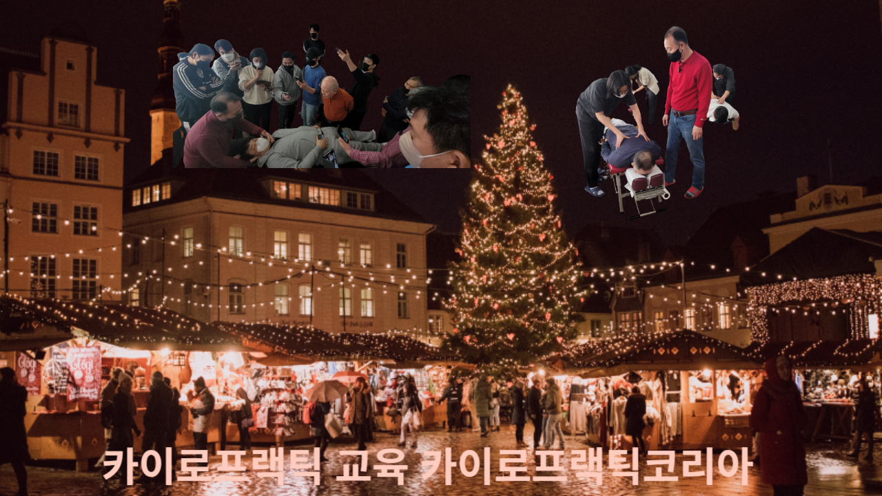 /user/c/chiropractickorea/editor/2311/d498d28a253b359cc86f597a1d78df71_1700990411_9019.png 이미지크게보기
