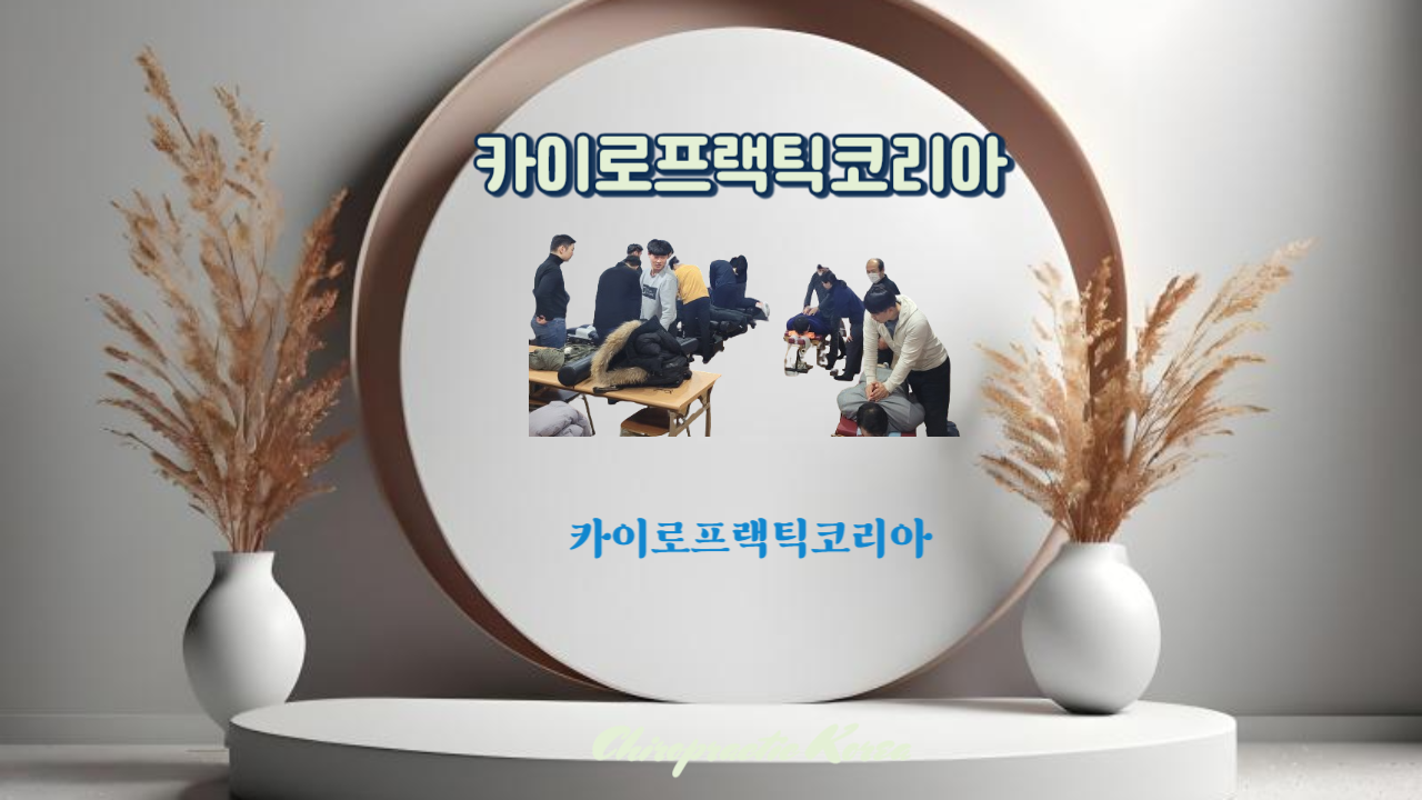 /user/c/chiropractickorea/editor/2408/de4cce26484457b3d4f18acc3c7ebb34_1723332020_289.png 이미지크게보기