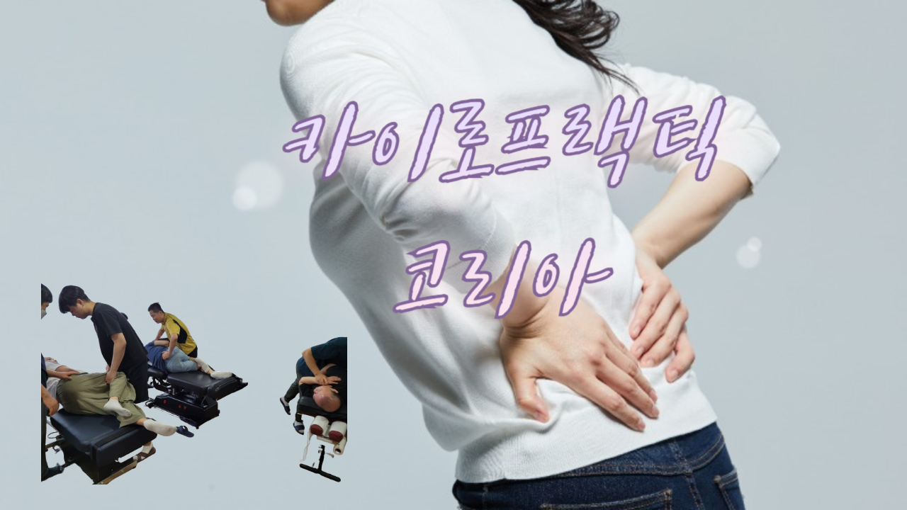 /user/c/chiropractickorea/editor/2410/68cb434ee5cfe3a5e4f4d8bd806b2d80_1730369953_366.png 이미지크게보기