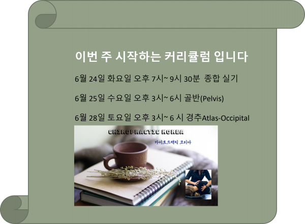 thumb434dd6dee680b2c82f45b351f3e2e5e4_1750463046_8208.png