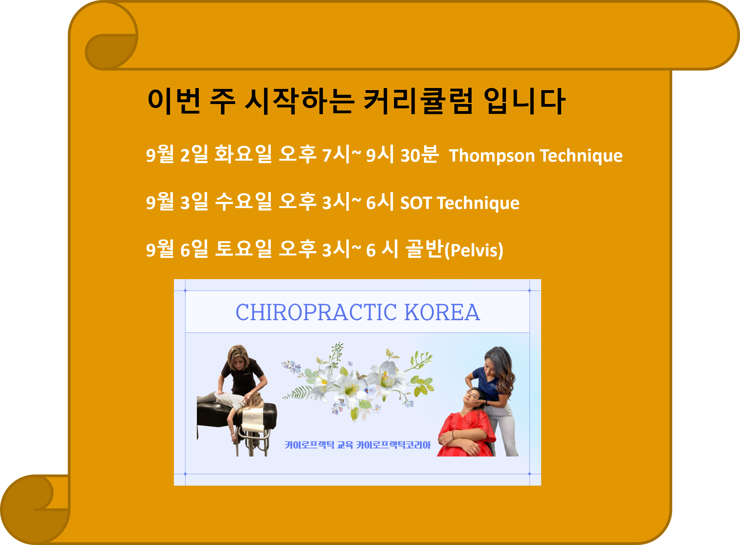 /user/c/chiropractickorea/editor/2508/0bb11f54a7365c12c7846534d9f1156a_1756510625_0041.png 이미지크게보기