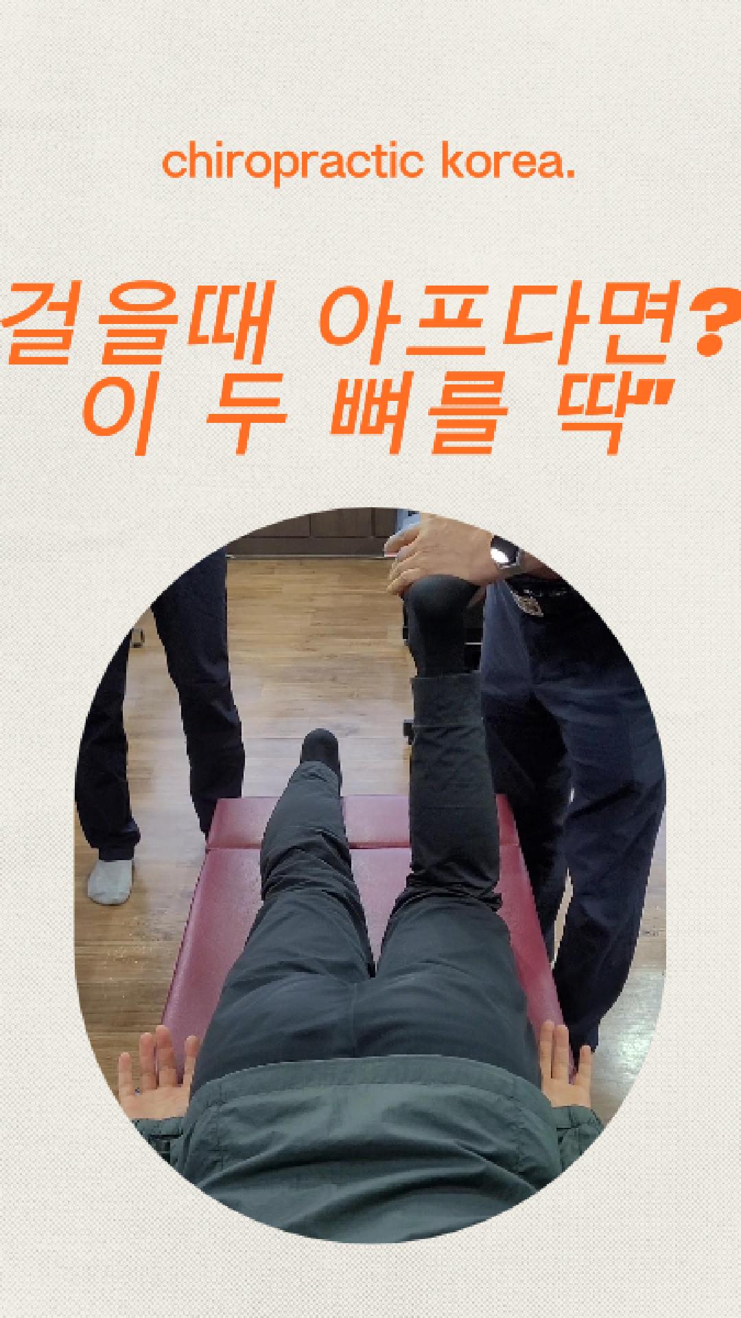 /user/c/chiropractickorea/editor/2604/3c9d3ece2acb873fa4b8ea16b33a3b36_1775863666_5211.jpg 이미지크게보기